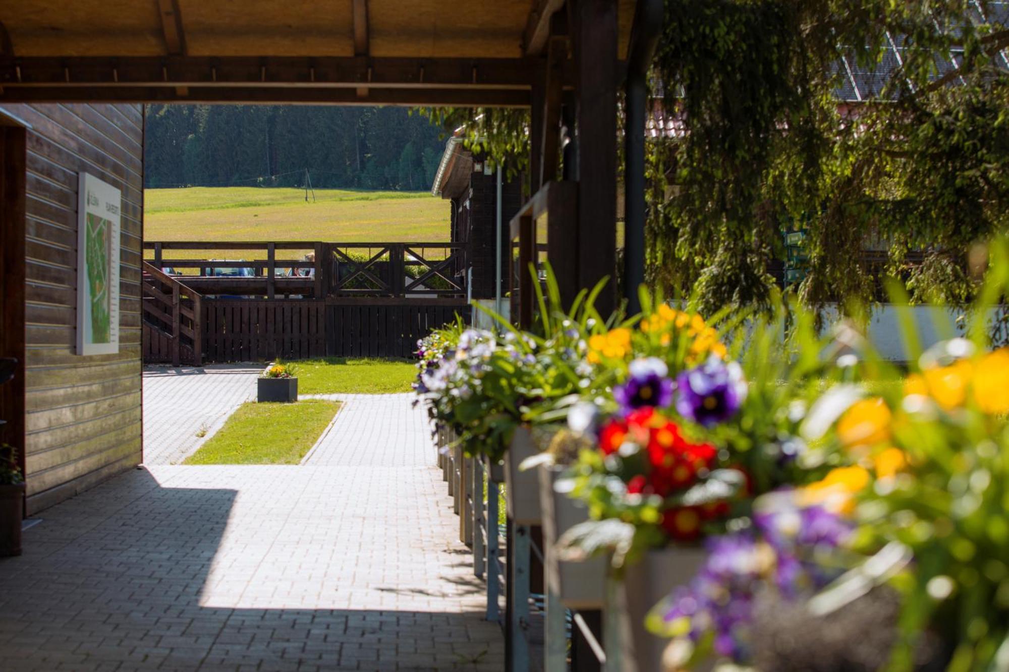 Horní Planá Resort Olsina מראה חיצוני תמונה
